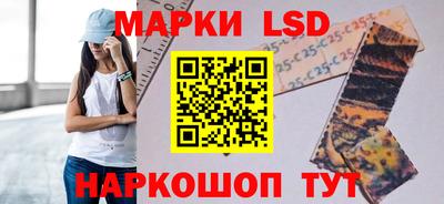 гидра Шахты