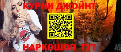 гидра Шахты