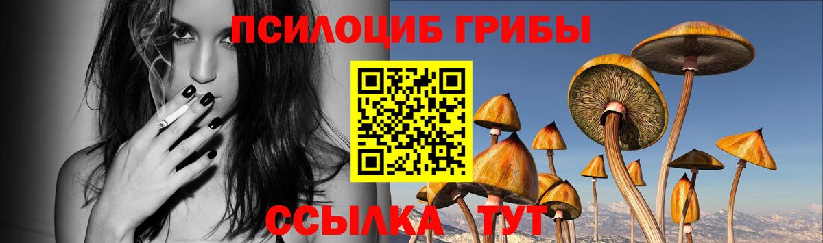 Псилоцибиновые грибы Psilocybe  Вход с VPN  дарнет шоп  Барабинск 